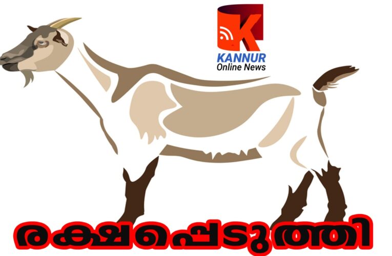 ആടിനെ കിണറില്‍ നിന്നും രക്ഷപ്പെടുത്തി