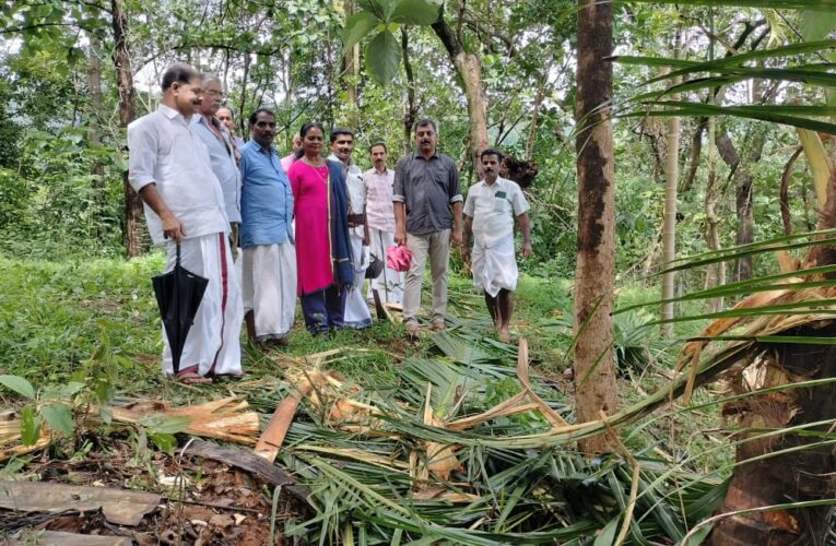 കാട്ടാനക്കൂട്ടം കൃഷി നശിപ്പിച്ചതിന്റെ ഉത്തരവാദിത്വം വനംവകുപ്പിന്- കേരള കോണ്‍ഗ്രസ് (എം)