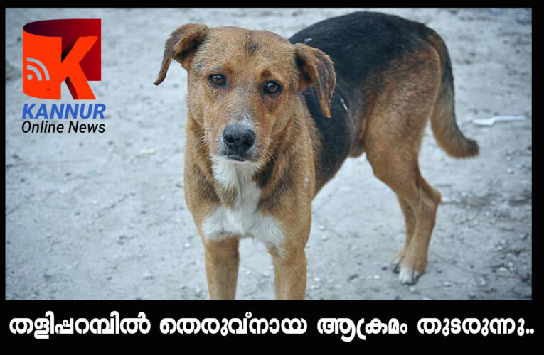 തെരുവ് നായ ആക്രമം തുടരുന്നു-രണ്ടുപേര്‍ക്ക് കൂടി കടിയേറ്റു-പട്ടിയെ പിടികൂടാന്‍ ശ്രമം ആരംഭിച്ചു.
