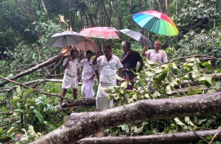 കൃഷിനാശമുണ്ടായ  സ്ഥലങ്ങള്‍  കര്‍ഷക കോണ്‍ഗ്രസ് നേതാക്കള്‍ സന്ദര്‍ശിച്ചു.