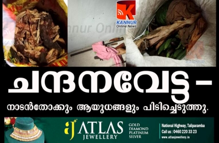 ചന്ദനവേട്ടക്കിടയില്‍ നാടന്‍തോക്കും ആയുധങ്ങളും പിടിച്ചെടുത്തു.