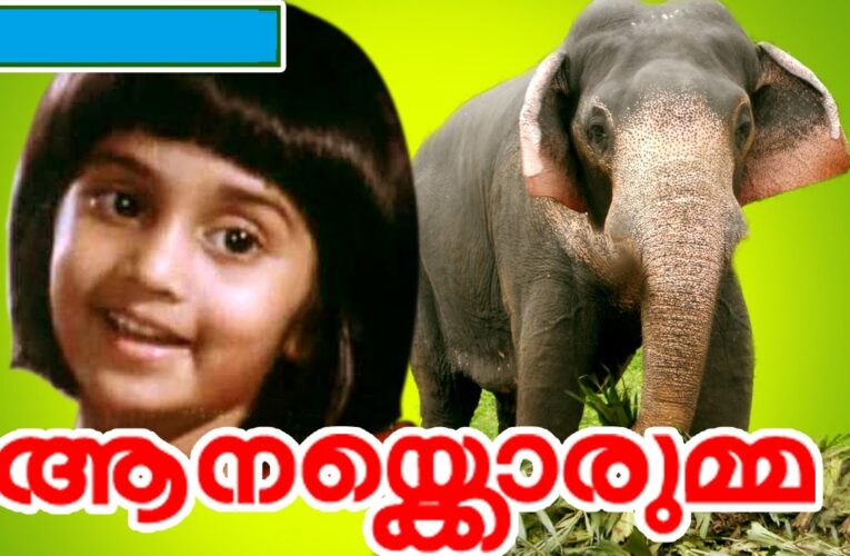 നിര്‍മ്മാതാവിന്റെ പേരില്‍ സംവിധാനം ചെയ്തുകൊടുക്കപ്പെട്ട സിനിമ-ആനയ്‌ക്കൊരുമ്മ-@38.