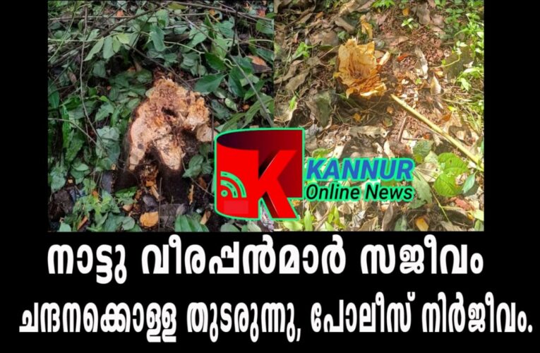 നാട്ടു വീരപ്പന്‍മാര്‍ സജീവം  ചന്ദനക്കൊള്ള തുടരുന്നു, പോലീസ് നിര്‍ജീവം–ചെറുവിച്ചേരിയില്‍ നിന്ന് രണ്ട് ചന്ദനമരങ്ങള്‍ മോഷണം പോയി
