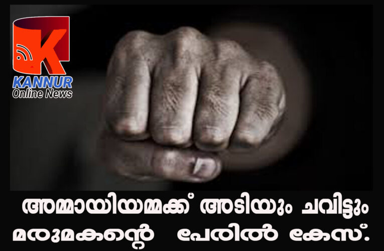 ഭാര്യാമാതാവിനെ മര്‍ദ്ദിച്ചതിന് മരുമകന്റെ പേരില്‍ കേസ്.