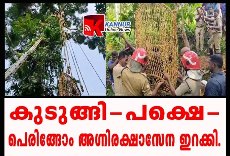 മരത്തില്‍ കുടുങ്ങിയ മധ്യവയസ്‌ക്കനെ പെരിങ്ങോം അഗ്‌നിരക്ഷാസേന രക്ഷപ്പെടുത്തി