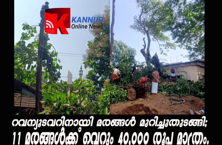 റവന്യൂടവറിനായി മരങ്ങള്‍ മുറിച്ചുതുടങ്ങി; നൂറ്റാണ്ടുകള്‍ പഴക്കമുള്ള 11 മരങ്ങള്‍ക്ക് വെറും 40,000 രൂപ മാത്രം.