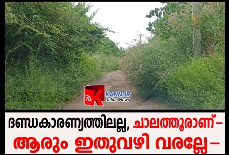 തകര്‍ന്ന റോഡ് കാടുമൂടി-നഗരസഭ തിരിഞ്ഞുനോക്കുന്നില്ലെന്ന് നാട്ടുകാര്‍