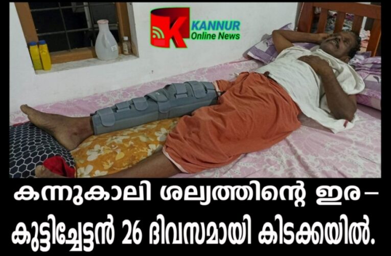 കുട്ടിച്ചേട്ടന്‍ 26 ദിവസമായി കിടക്കയില്‍- കന്നുകാലി ശല്യത്തിന്റെ ഇര-