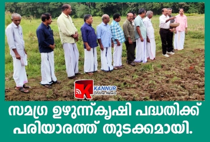 സമഗ്ര ഉഴുന്ന്കൃഷി പദ്ധതിക്ക് പരിയാരത്ത് തുടക്കമായി.