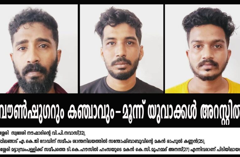 ബ്രൗണ്‍ഷുഗറും കഞ്ചാവും-മൂന്ന് യുവാക്കള്‍ അറസ്റ്റില്‍.