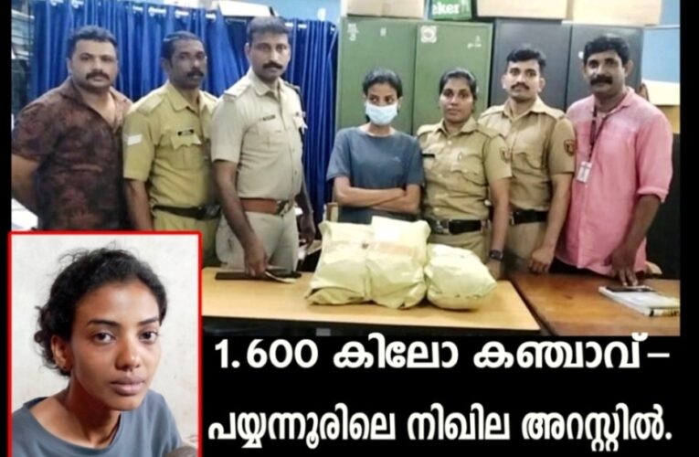 1.600 കിലോ കഞ്ചാവ്- പയ്യന്നൂരിലെ നിഖില അറസ്റ്റില്‍.