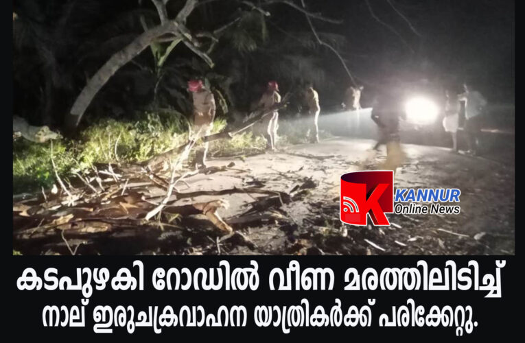 കടപുഴകി റോഡില്‍ വീണ മരത്തിലിടിച്ച് നാല് ഇരുചക്രവാഹന യാത്രികര്‍ക്ക് പരിക്കേറ്റു.