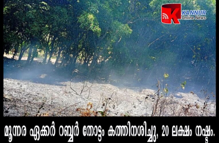 മൂന്നര ഏക്കര്‍ റബ്ബര്‍ തോട്ടം കത്തിനശിച്ചു, 20 ലക്ഷം നഷ്ടം.
