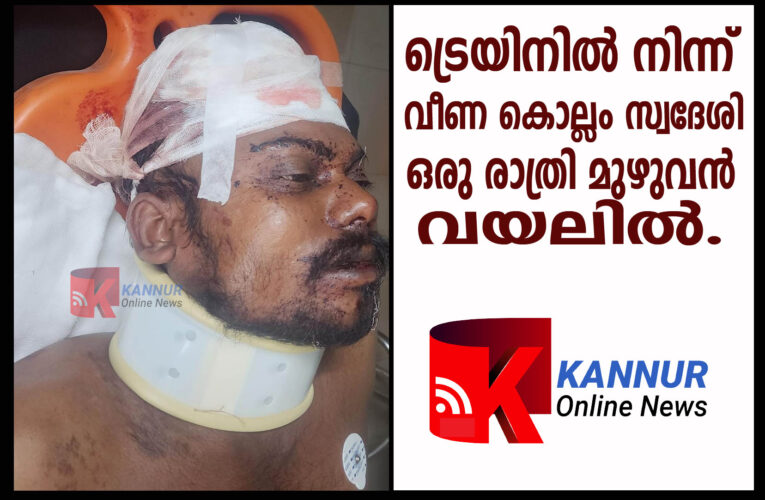 ട്രെയിനില്‍ നിന്ന് വീണ കൊല്ലം സ്വദേശി ഒരു രാത്രി മുഴുവന്‍ വയലില്‍.