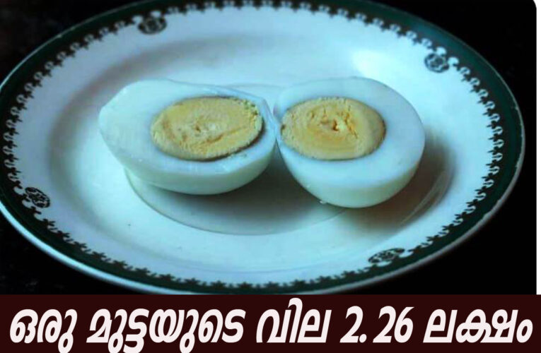 ഒരു മുട്ടയുടെ വില 2.26 ലക്ഷം-കാശ്മീരില്‍ നിന്നും ഒരു മുട്ടക്കഥ.