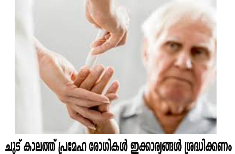 ശരീരത്തിന്റെ പ്രവര്‍ത്തനത്തെ തന്നെ മാറ്റിമറിക്കും; ചൂട് കാലത്ത് പ്രമേഹ രോഗികള്‍ ഇക്കാര്യങ്ങള്‍ ശ്രദ്ധിക്കണം