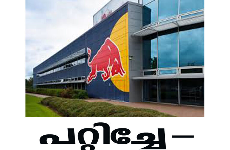 റെഡ്ബുള്‍ കമ്പനിയില്‍ ജോലി വിസ നല്‍കാമെന്ന് വിശ്വസിപ്പിച്ച് 2,78,000 രൂപ തട്ടിയെടുത്ത സംഭവത്തില്‍ പോലീസ് കേസെടുത്തു.