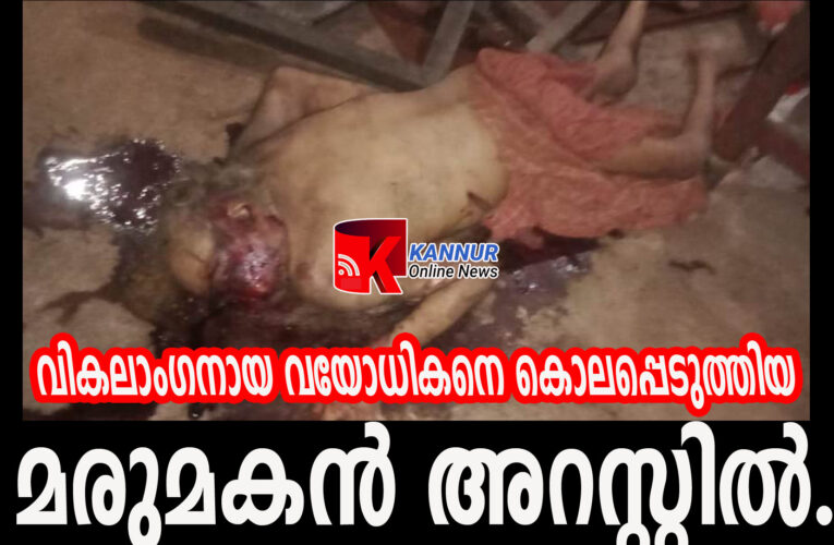 വികലാംഗനായ വയോധികനെ കൊലപ്പെടുത്തിയ മരുമകന്‍ അറസ്റ്റില്‍.