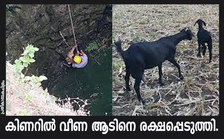 കിണറില്‍ വീണ ആടിനെ അഗ്നിരക്ഷാസേന രക്ഷപ്പെടുത്തി.