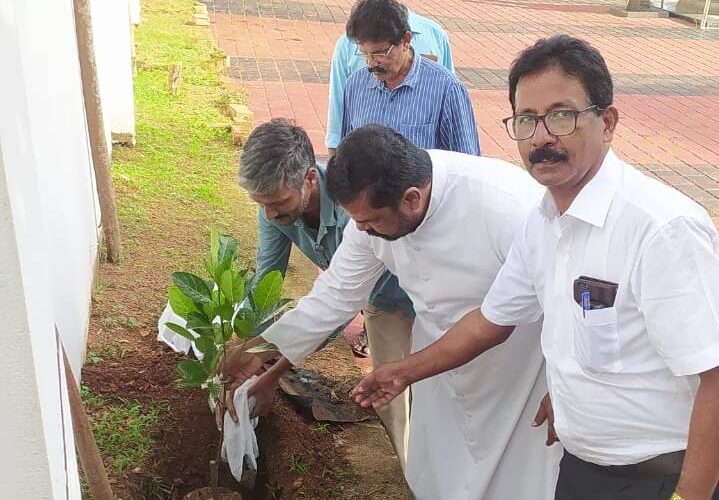 കത്തോലിക്കാ കോണ്‍ഗ്രസ് പരിസ്ഥിതി ദിനം ആചരിച്ചു.