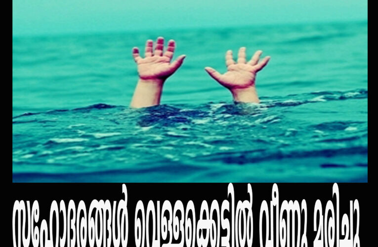 ചീമേനിയില്‍ സഹോദരങ്ങള്‍ വെള്ളക്കെട്ടില്‍ വീണു മരിച്ചു