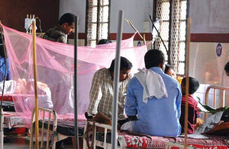 സംസ്ഥാനത്ത് മഞ്ഞപ്പിത്തവും ഡെങ്കിപ്പനിയും പടരുന്നു; രണ്ടാഴ്ചയ്ക്കിടെ മഞ്ഞപ്പിത്തം ബാധിച്ചത് 245 പേര്‍ക്ക് ആറു മാസത്തിനിടെ രണ്ടേകാല്‍ ലക്ഷം പേരാണ് മഞ്ഞപ്പിത്തത്തിന് ചികിത്സ തേടിയത്