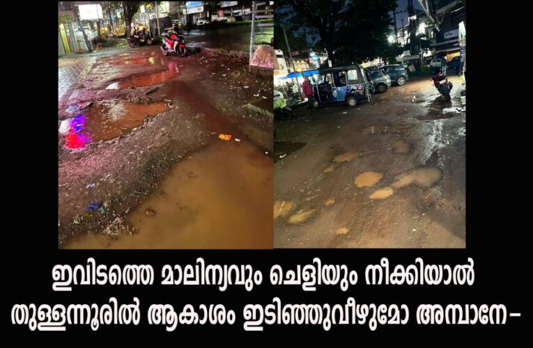 ഇവിടത്തെ മാലിന്യവും ചെളിയും നീക്കിയാല്‍ തുള്ളന്നൂരില്‍ ആകാശം ഇടിഞ്ഞുവീഴുമോ അമ്പാനേ-