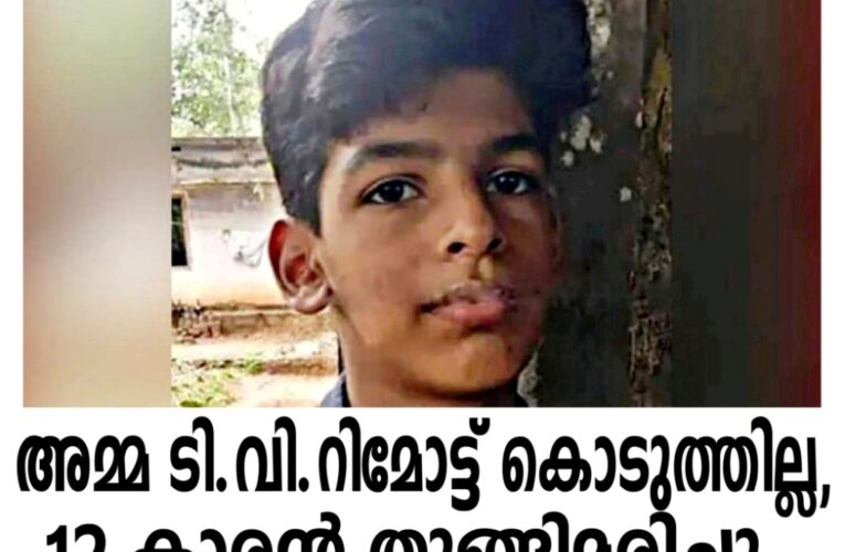 അമ്മ ടി.വി.റിമോട്ട് കൊടുത്തില്ല, 12 കാരന്‍ തൂങ്ങിമരിച്ചു.