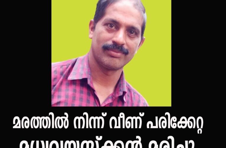 മരത്തില്‍ നിന്ന് വീണ് പരിക്കേറ്റ മധ്യവയസ്‌ക്കന്‍ മരിച്ചു.