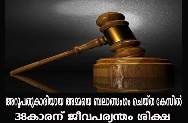 അറുപതുകാരിയായ അമ്മയെ ബലാത്സംഗം ചെയ്ത കേസില്‍ 38കാരന് ജീവപര്യന്തം ശിക്ഷ