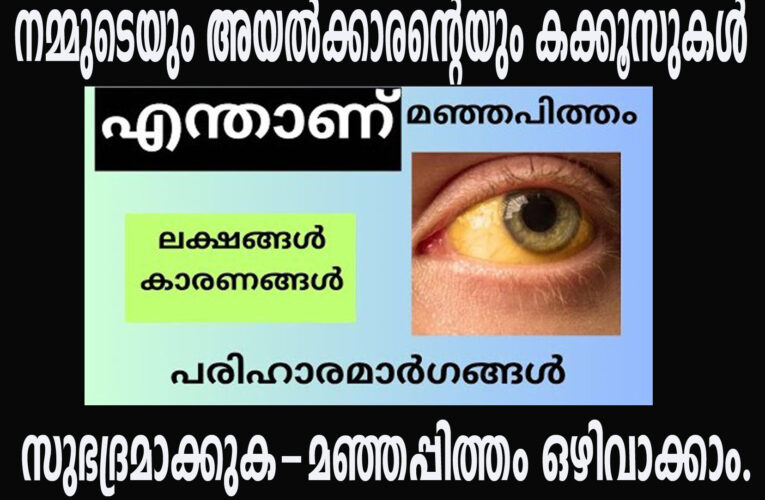 മഞ്ഞപ്പിത്തം ഒഴിവാക്കാന്‍ കക്കൂസുകള്‍ സുഭദ്രമാക്കൂ-