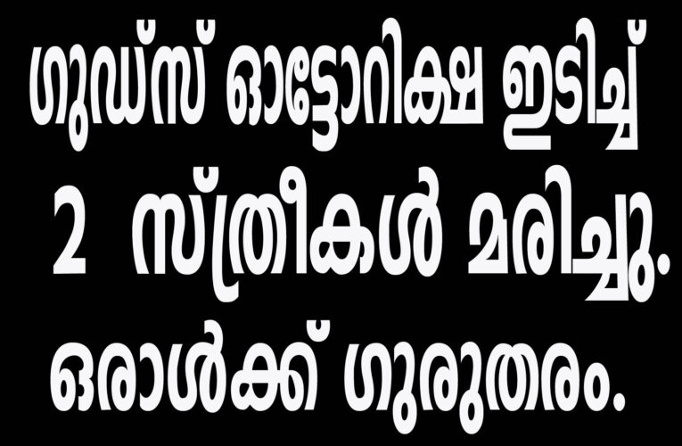 ഗുഡ്‌സ് ഓട്ടോറിക്ഷ ഇടിച്ച് രണ്ട് സ്ത്രീകള്‍ മരിച്ചു. ഒരാള്‍ക്ക് ഗുരുതരം.