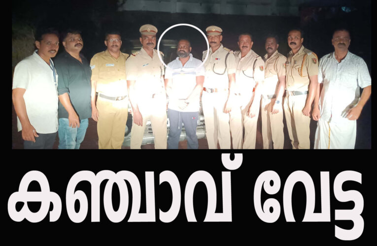 തളിപ്പറമ്പില്‍ വന്‍ കഞ്ചാവ് വേട്ട 25 കിലോഗ്രാം കഞ്ചാവുമായി യുവാവ് പിടിയില്‍.