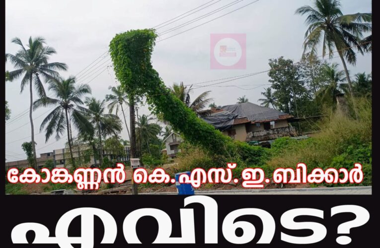എത്ര ജീവന്‍ പൊലിയണം കെഎസ്ഇബിയുടെ കണ്ണുതുറക്കാന്‍