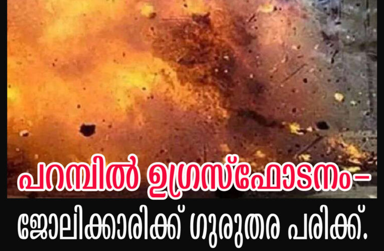 പറമ്പില്‍ ഉഗ്രസ്‌ഫോടനം-ജോലിക്കാരിക്ക് ഗുരുതര പരിക്ക്.