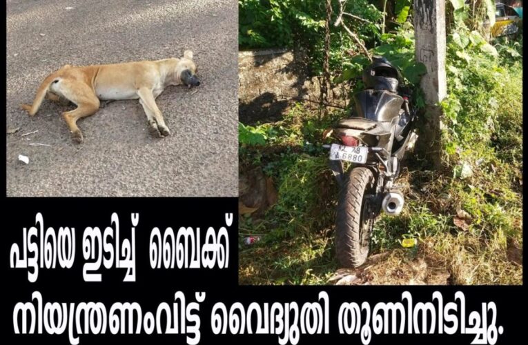 തെരുവ് പട്ടിയെ ഇടിച്ച് ബൈക്ക് നിയന്ത്രണംവിട്ട് വൈദ്യുതി തൂണിനിടിച്ചു, ബൈക്ക് യാത്രക്കാരന് പരിക്ക്