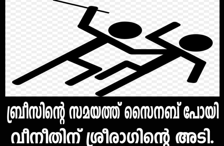 ബ്രീസിന്റെ സമയത്ത് സൈനബ് പോയി-വീനീതിന് ശ്രീരാഗിന്റെ അടി.