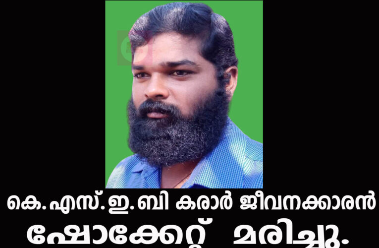 കെ.എസ്.ഇ.ബി കരാര്‍ ജീവനക്കാരന്‍ ഷോക്കേറ്റ് മരിച്ചു.