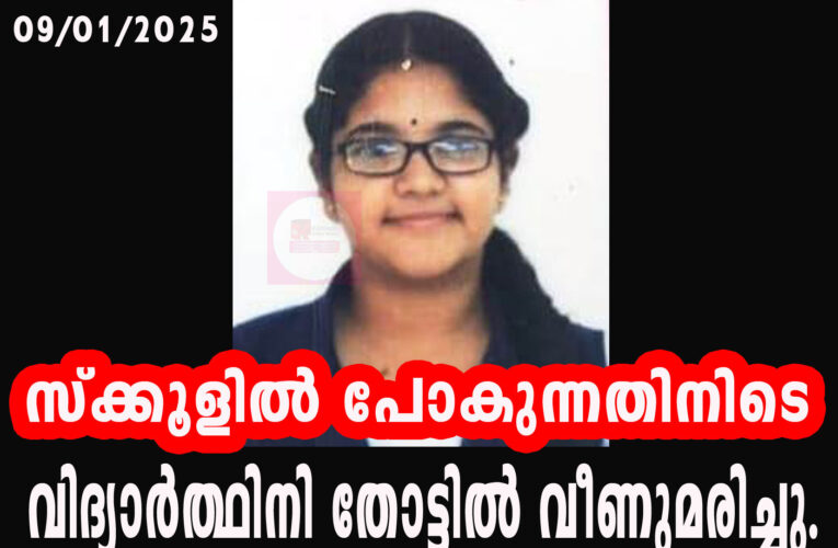 സ്‌ക്കൂളില്‍ പോകുന്നതിനിടെ വിദ്യാര്‍ത്ഥിനി തോട്ടില്‍ വീണു മരിച്ചു.