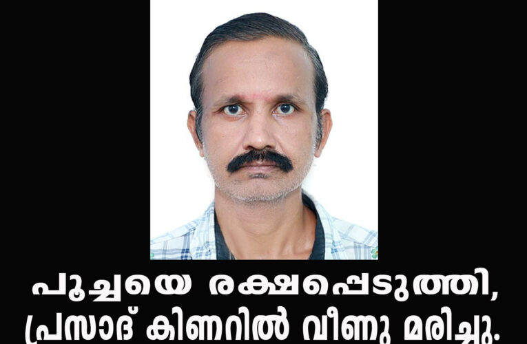 പൂച്ചയെ രക്ഷപ്പെടുത്തി, പ്രസാദ് കിണറില്‍ വീണു മരിച്ചു.