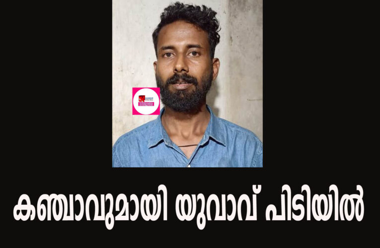 കഞ്ചാവുമായി യുവാവിനെ പോലീസ് പിടികൂടി. 