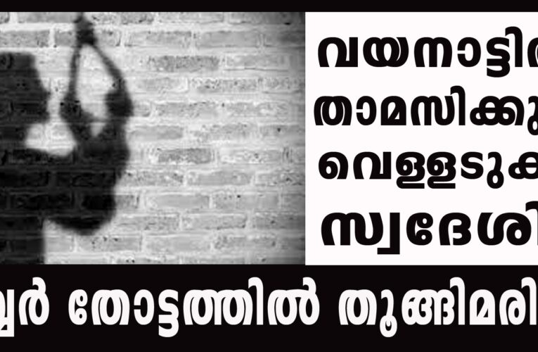 വയനാട്ടില്‍ നിന്നെത്തി വെള്ളടുക്കത്ത് തൂങ്ങിമരിച്ചു.