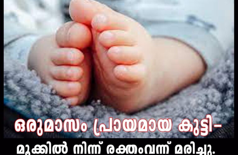 ഉറക്കത്തിനിടയില്‍ മൂക്കില്‍ നിന്ന് രക്തം വന്ന് ഒരുമാസം പ്രായമായ കുട്ടി മരിച്ചു