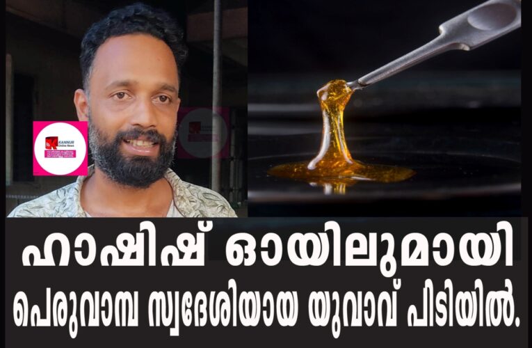 ഹാഷിഷ് ഓയിലുമായി പെരുവാമ്പ സ്വദേശിയായ യുവാവ് പിടിയില്‍.