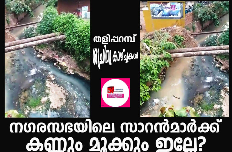 ഈ മാലിന്യം എവിടെയാ-ലഡാക്കിലാ?  നഗരസഭയിലെ സാറന്‍മാര്‍ക്ക് കണ്ണും മൂക്കും ഇല്ലേ?