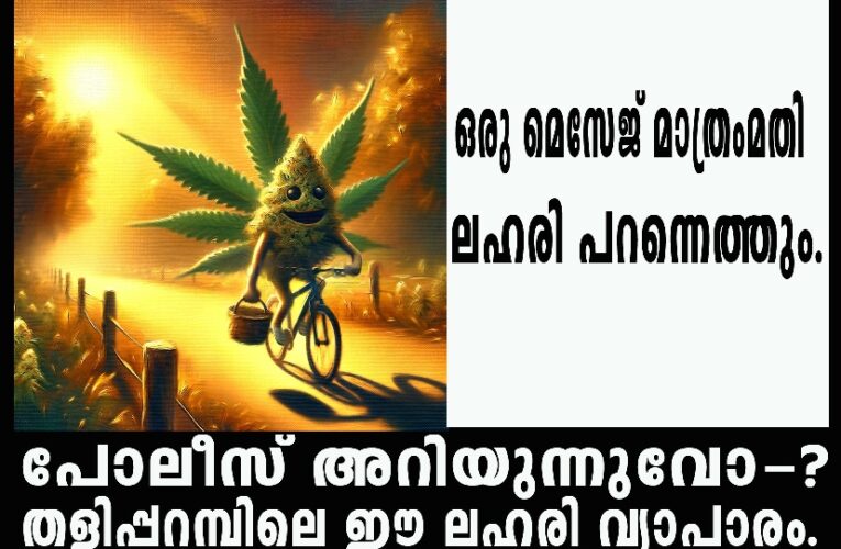 മുന്‍ മോഷ്ടാവ് തളിപ്പറമ്പില്‍ വീണ്ടും ലഹരി വ്യാപാര രംഗത്ത്-ഇത്തവണ ഇടപാട് ഹൈടെക്.