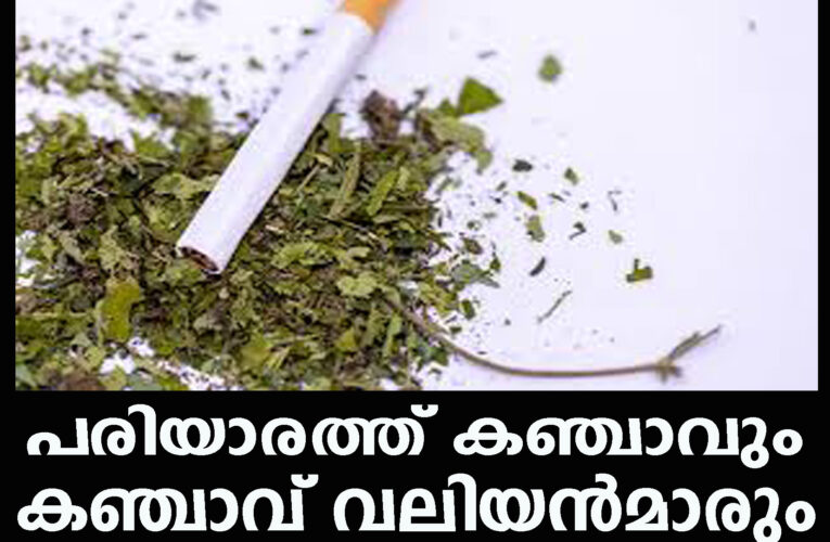 പരിയാരത്ത് കഞ്ചാവും  കഞ്ചാവ് വലിയന്‍മാരും