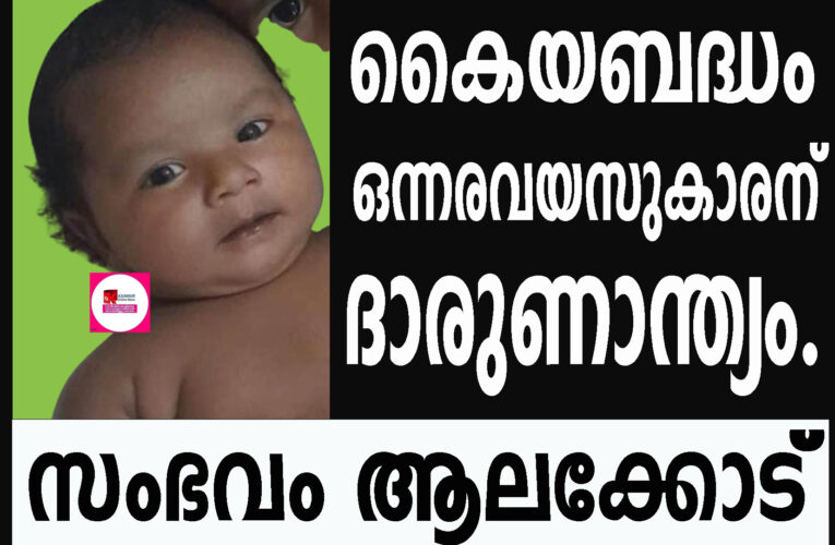 അമ്മമ്മയുടെ കൈയബദ്ധം  ഒന്നരവയസുകാരന്  ദാരുണാന്ത്യം.  സംഭവം ആലക്കോട്