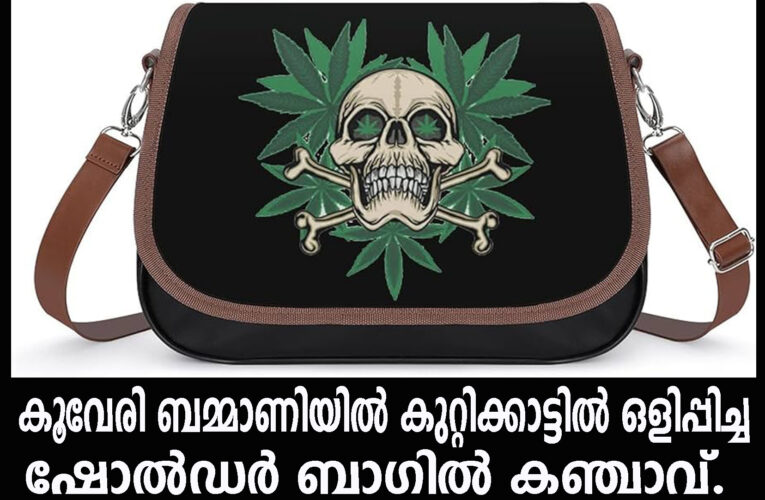 കൂവേരി ബമ്മാണിയില്‍ കുറ്റിക്കാട്ടില്‍ ഒളിപ്പിച്ച  ഷോല്‍ഡര്‍ ബാഗില്‍ കഞ്ചാവ്.