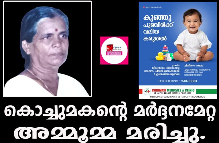 കൊച്ചുമകന്റെ മര്‍ദ്ദനമേറ്റ അമ്മൂമ്മ മരിച്ചു.
